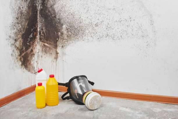 Best Water Damage Restoration  in Lakehurst, NJ