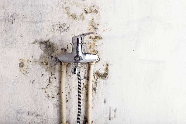 Best Office Mold Removal Services  in Lakehurst, NJ