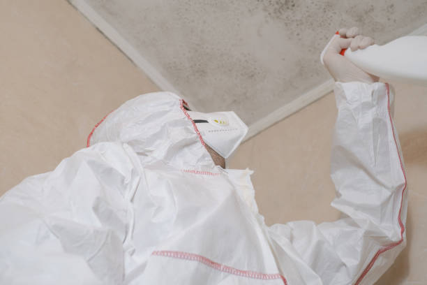 Lakehurst, NJ Mold Removal Company