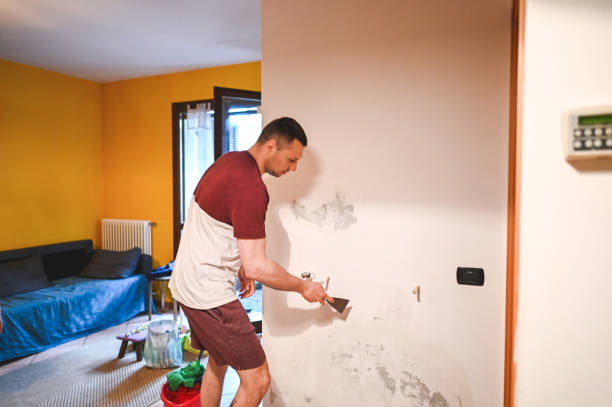 Best Black Mold Removal  in Lakehurst, NJ