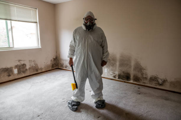 Attic Mold Removal in Lakehurst, NJ